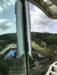 Hillview Park (D23), Condominium #157763742